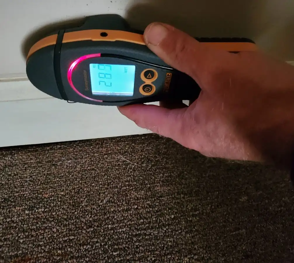 Moisture detection at baseboard during Sewage Cleanup & Sanitation in Plainville
